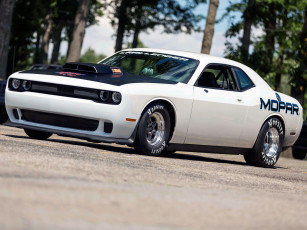 Картинка автомобили dodge lc pak drag challenger mopar 2015г