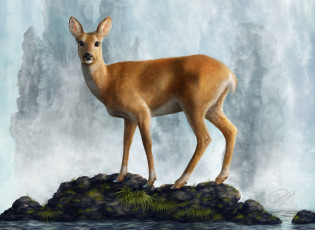 Картинка рисованное животные +олени животное вода камни косуля олень