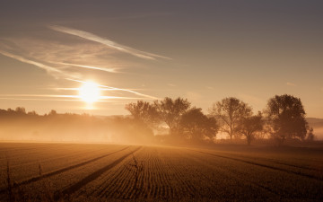 Картинка природа восходы закаты поле туман утро