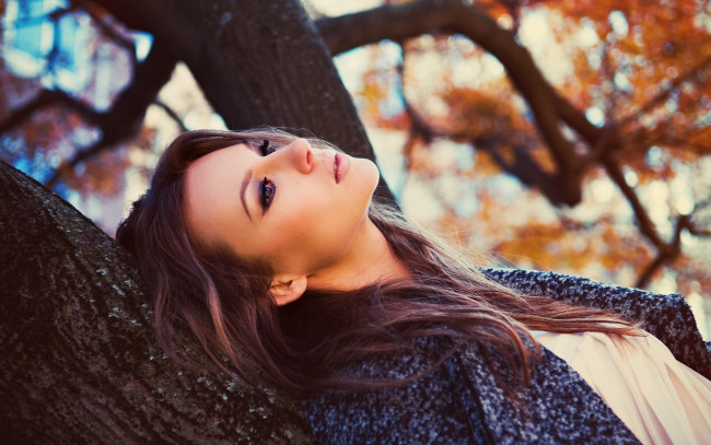 Обои картинки фото девушки, -unsort , брюнетки,  шатенки, осень, пальто, дерево