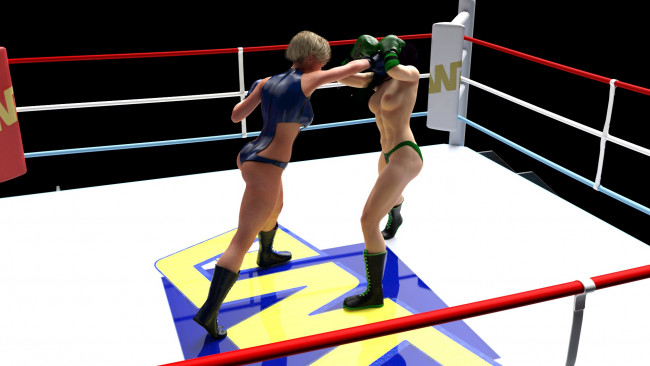 Обои картинки фото 3д графика, спорт , sport, ринг, фон, взгляд, бокс, девушки