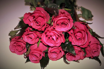 Картинка цветы розы бутоны розовые