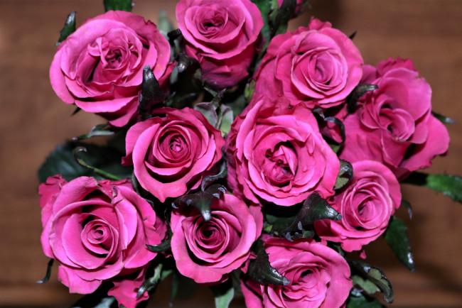 Обои картинки фото цветы, розы, бутоны, розовые