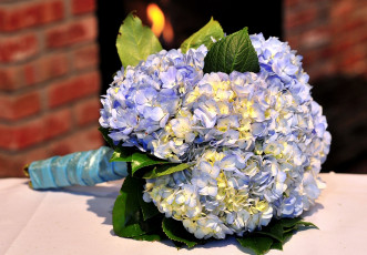 Картинка цветы букеты композиции гортензия голубой
