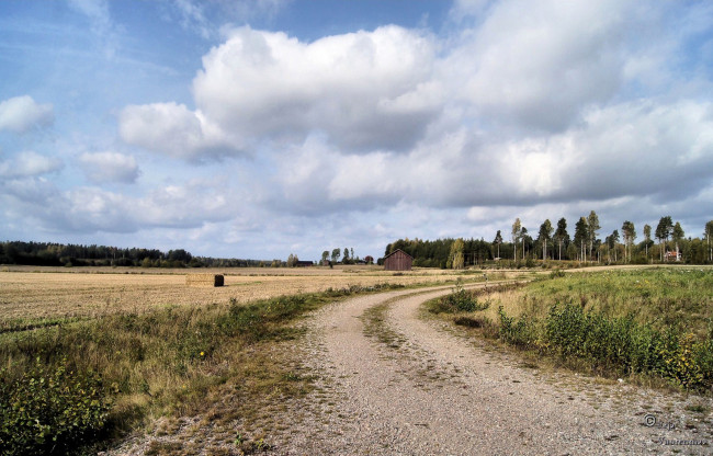 Обои картинки фото природа, дороги, облака, деревья, поле