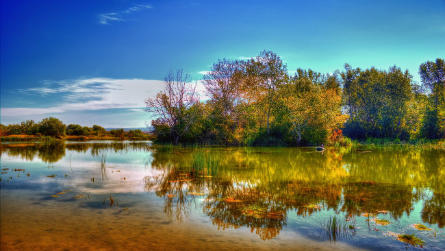 Обои картинки фото природа, реки, озера, озеро, деревья