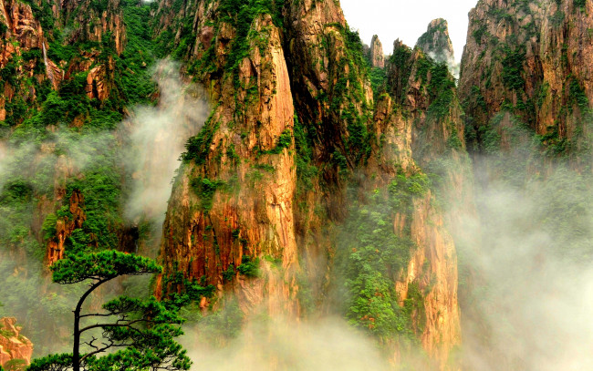 Обои картинки фото mountain, plants, in, fog, природа, горы, пики, туман, лес