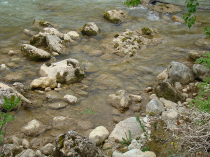 Картинка природа реки озера вода