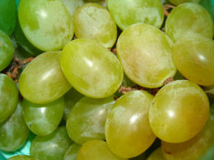 Картинка виноград еда фрукты