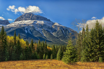Картинка banff national park alberta canada природа горы долина боу скалистые банф bow valley canadian rockies