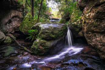 Картинка природа водопады лес поток камни вода водопад деревья