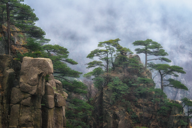 Обои картинки фото природа, горы, скалы, лес, туман