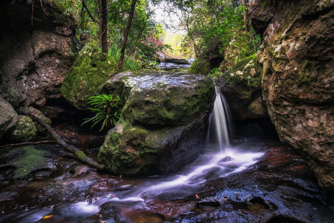 Обои картинки фото природа, водопады, лес, поток, камни, вода, водопад, деревья