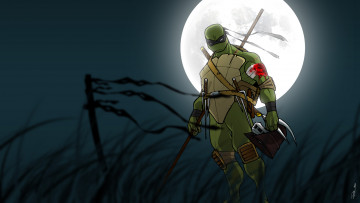 Картинка мультфильмы tmnt черепаха луна ранение