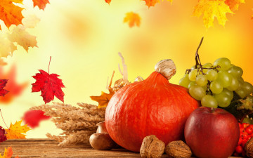 обоя еда, фрукты и овощи вместе, тыква, fruits, виноград, урожай, листья, осень, pumpkin, still, life, autumn, harvest