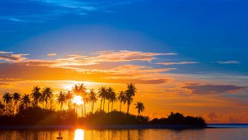 Картинка природа восходы закаты закат пальмы море тропики