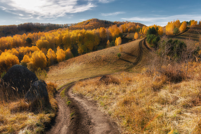 Обои картинки фото природа, дороги, осень, дорога, лес, горы, путь