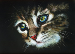Картинка рисованное животные +коты взгляд фон кот
