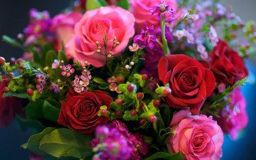 обоя цветы, букеты,  композиции, розы