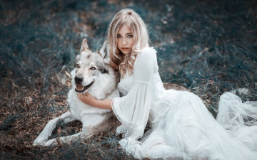 Картинка девушки -+блондинки +светловолосые девушка модель блондинки поза красотка лес волк животное хищник белое платье cessy we
