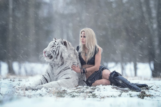 Обои картинки фото darya lefler, девушки, дарья лефлер, darya, lefler, тигр, белый, животное, хищник, альбинос, снег, дарья, лефлер, cosplay, блондинка, девушка, модель, наряд, поза, макияж, причёска, взгляд