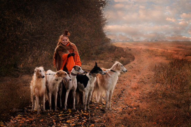 Обои картинки фото девушки, - рыжеволосые и разноцветные, собаки, борзые, осень, поля, роща, шляпа, рыжая