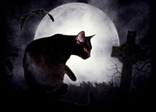 Картинка фэнтези другое ночь крест летучая мышь луна кошка