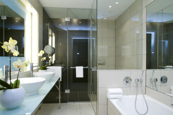 Картинка интерьер ванная туалетная комнаты цветы зеркала
