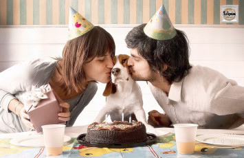 Картинка бренды tulip& 225 презерватив подарки торт собака день рождения