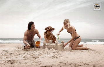 Картинка бренды tulip& 225 собака пляж замок из песка презерватив