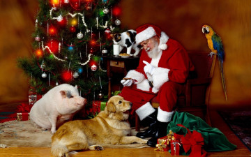 Картинка праздничные дед мороз ёлка попугай собака подарки кот свинья