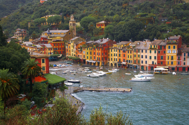 Обои картинки фото портофино, италия, города, амальфийское, лигурийское, побережье, вода, яхты, деревья, дома