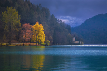 Картинка озеро блед словения природа реки озера дымка лес осень