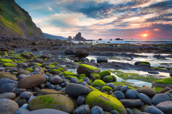 Картинка природа побережье камни закат мох