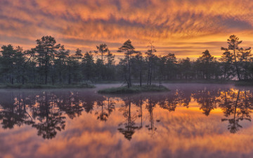 Картинка природа реки озера сумерки озеро небо деревья