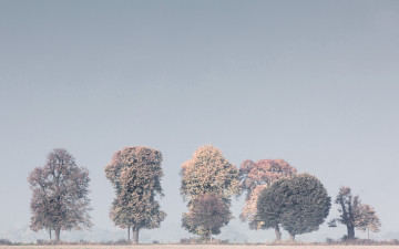 Картинка природа зима туман деревья