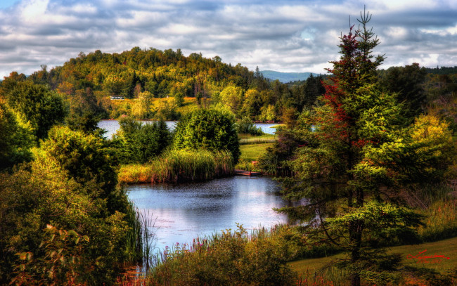 Обои картинки фото природа, реки, озера, пейзаж, лес, озёра, деревья