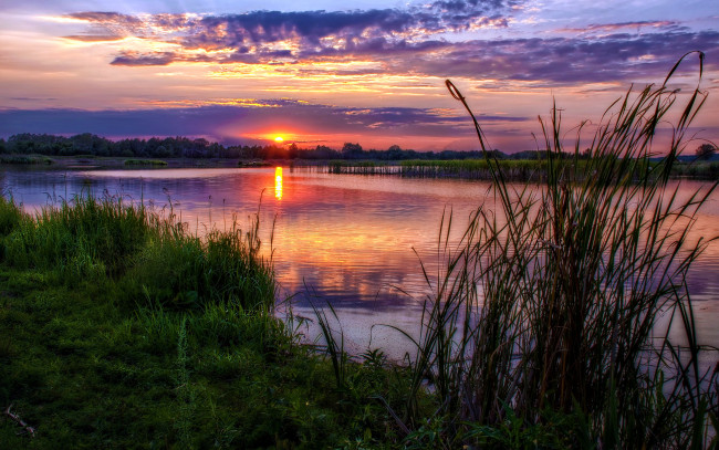 Обои картинки фото природа, восходы, закаты, вечер, солнце, трава, лес, река, красота