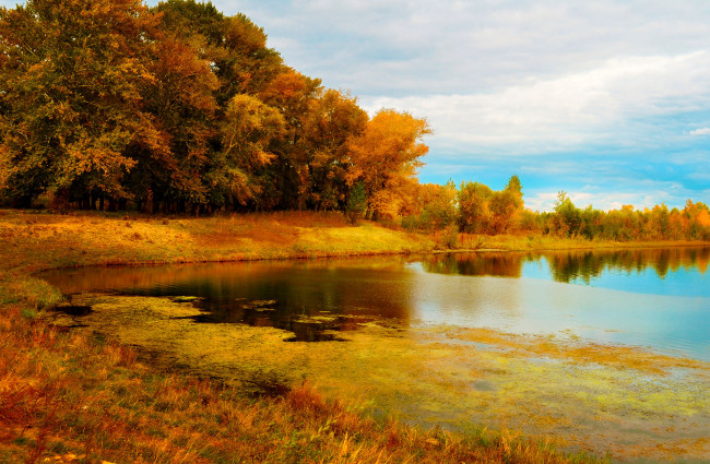 Обои картинки фото природа, реки, озера, озеро, осень, деревья, желтые, кроны