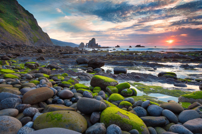 Обои картинки фото природа, побережье, камни, закат, мох