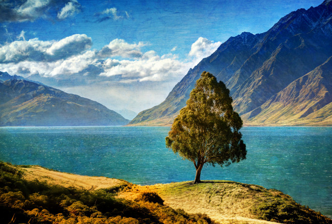 Обои картинки фото природа, деревья, новая, зеландия, озеро, горы, пейзаж