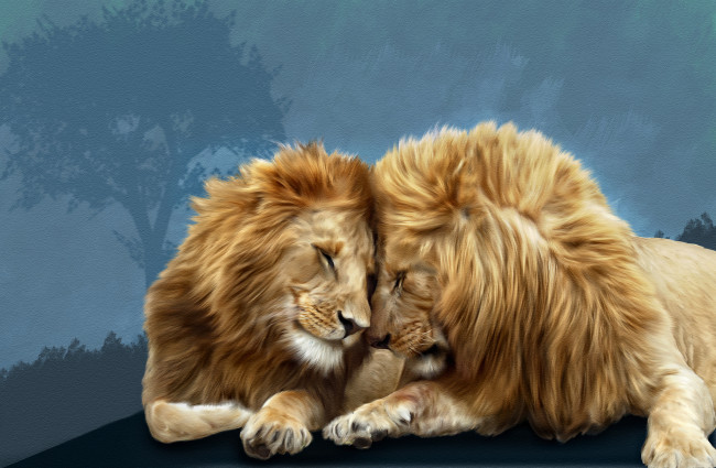 Обои картинки фото рисованные, животные, львы