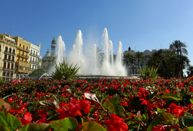 Обои картинки фото valencia, spain, города, фонтаны, клумба, испания, фонтан, цветы, бегонии, валенсия