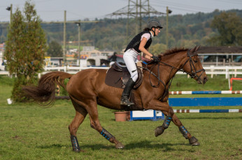 Картинка спорт конный+спорт скачки жокей лошадь ипподром