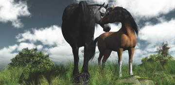 Картинка 3д+графика животные+ animals лошади