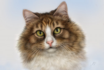 Картинка рисованное животные +коты глаза кот красавец морда взгляд усы портрет