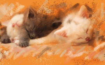 Картинка рисованное животные +коты акварель картина белые серый мазки разводы спят котята