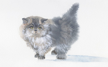 Картинка рисованное животные +коты акварель живопись пушистый серый котенок