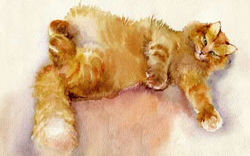 обоя рисованное, животные,  коты, живопись, акварель, пушистый, рыжий, кот