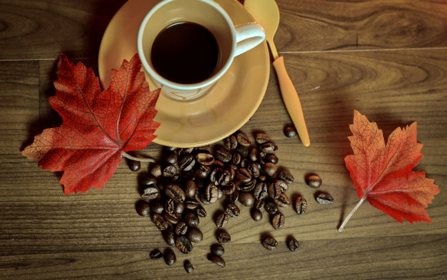 Обои картинки фото еда, кофе,  кофейные зёрна, coffee, leaves, cup, beans, осень, книга, чашка, autumn